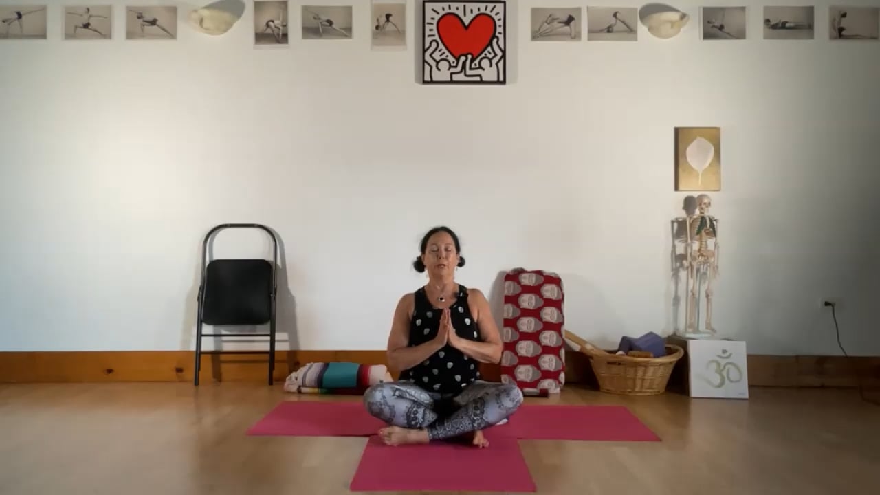 5-3-22 Iyengar Yoga: One leg poses for flexibility, strength, balance, and quiet mind.