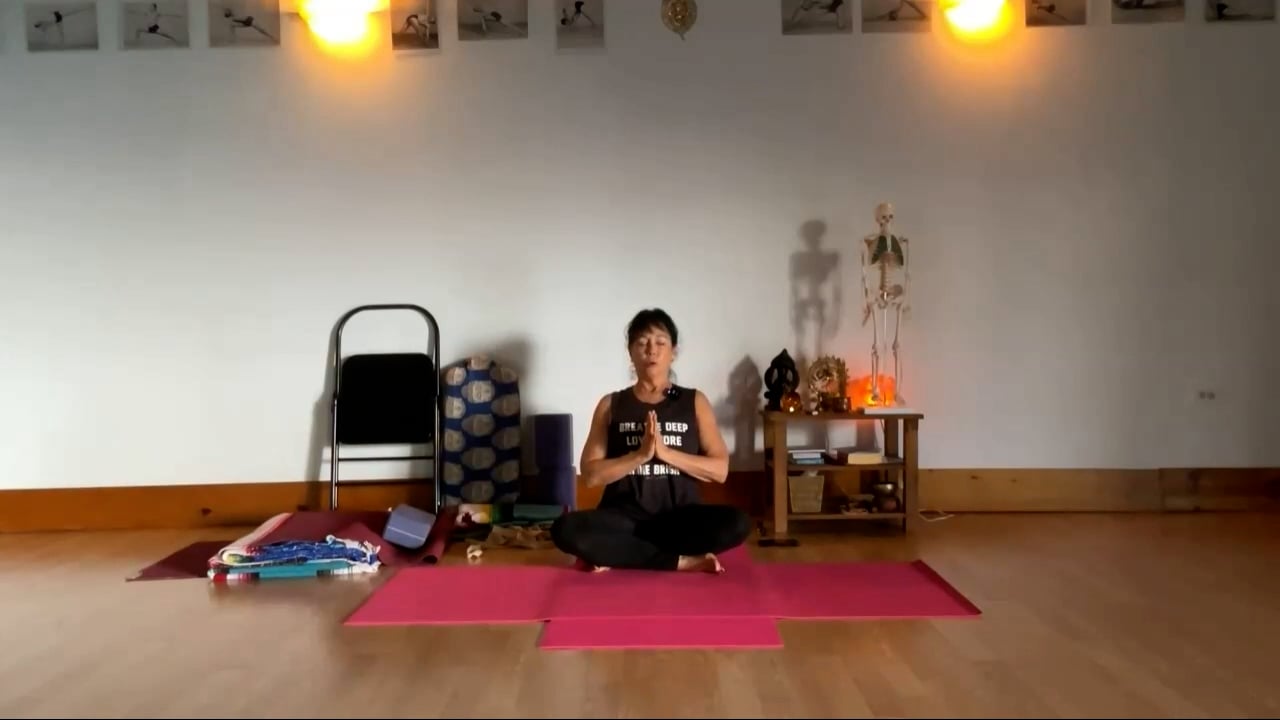 11-20-23 Iyengar Yoga: Total body Alignment and Balance foundations using the wall as a guide.
