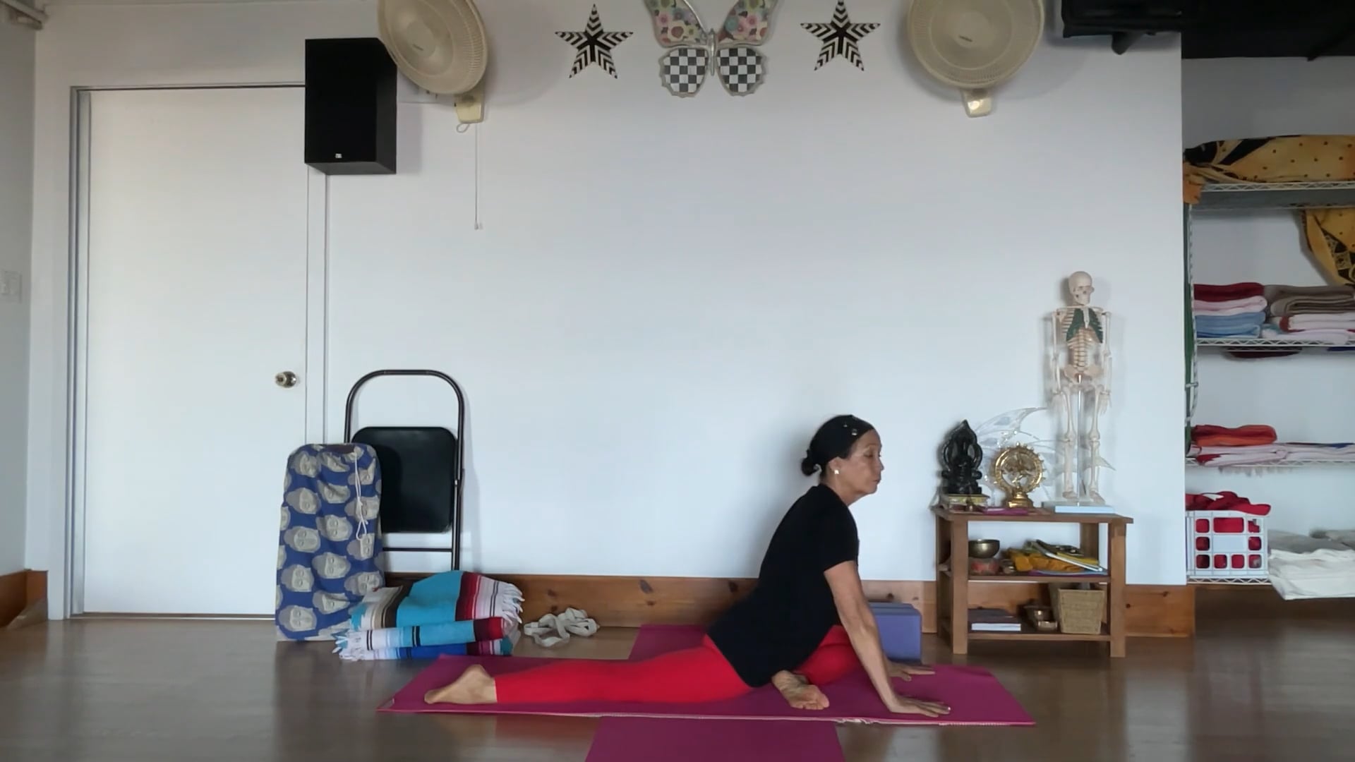 2-14-25  Iyengar Yoga: Building and spreading energy with focus on the pelvic floor as a support for the organs and spine.
