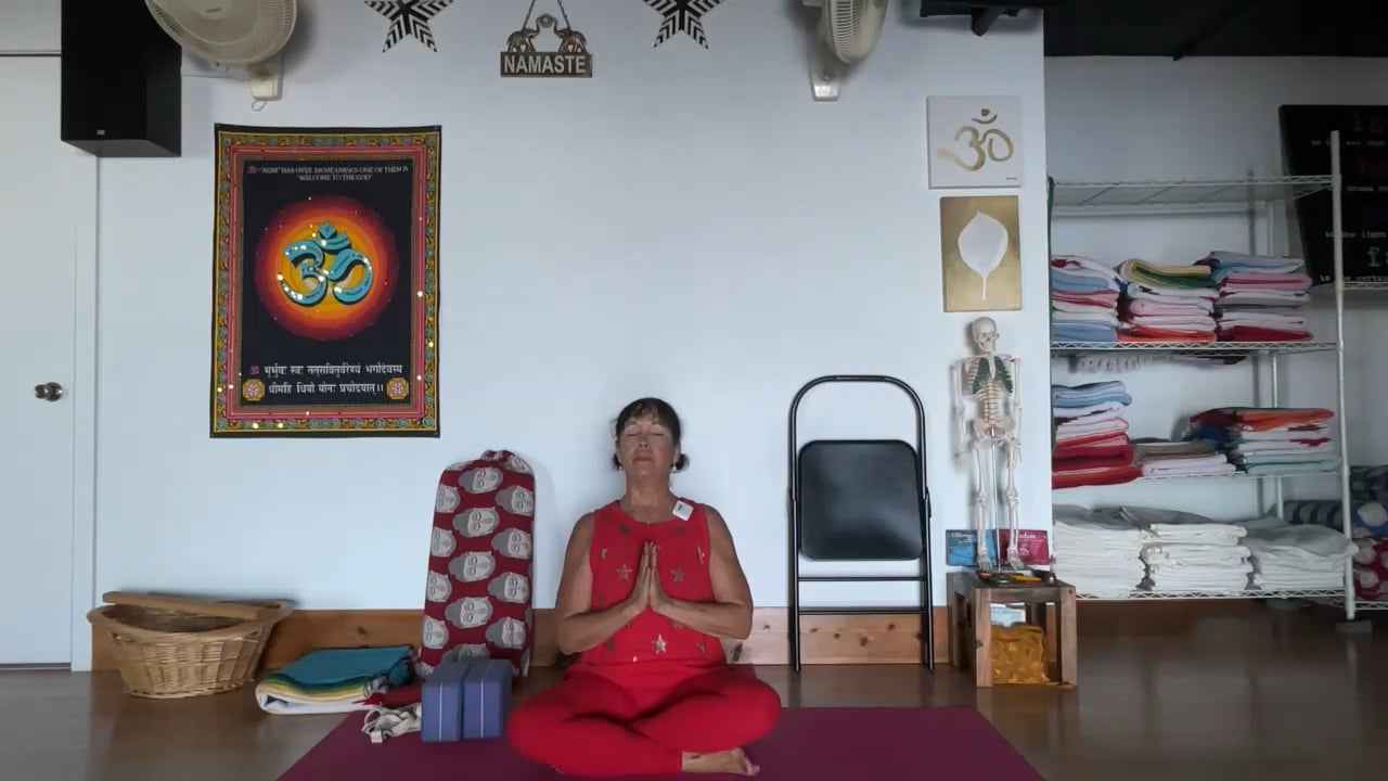 12-26-22  Iyengar Yoga: Opening up the front body with twist/sitting/standing and lunges.