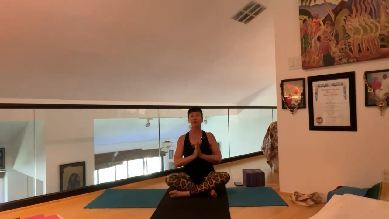 5-29-23  Iyengar Yoga: Focus on space in the back of the hips with a solid connection to lifting the pubic bone.