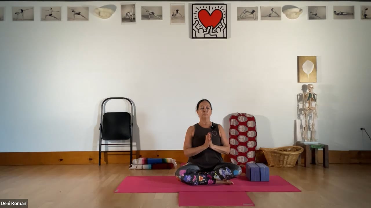 5-23-22 Iyengar Yoga: Standing balance, ankles, knees, hips, backbends, inversions.