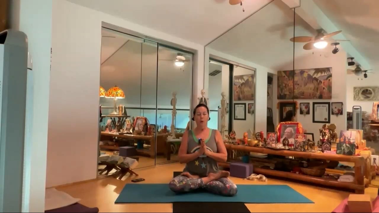 8-16-23 Iyengar Yoga: Focus on strengthening arms and legs by adjusting the spine.