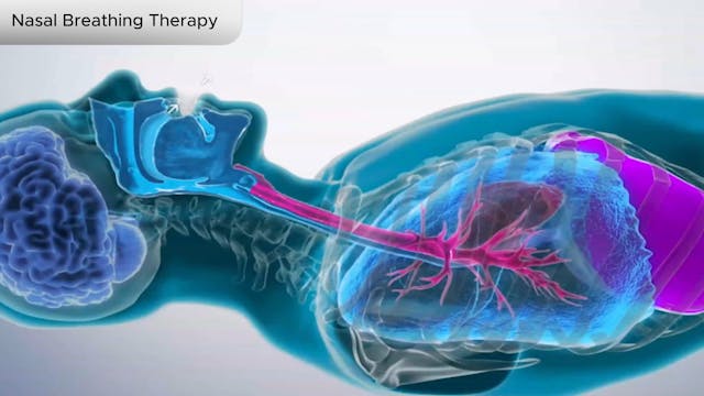 Nasal Breathing Therapy - Dental Patient Education Video