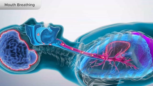 Mouth Breathing - Dental Patient Education Video