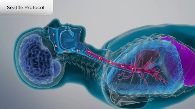 Seattle Protocol - Dental Patient Education Video