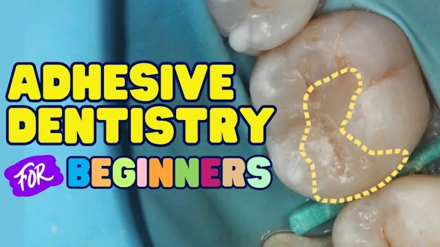 Insights into Adhesive Dentistry with...