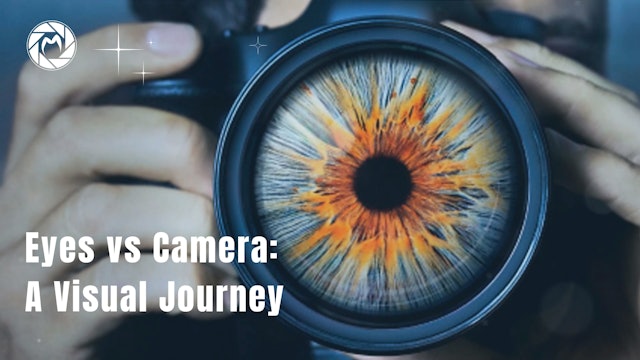 Eyes vs Camera A Visual Journey