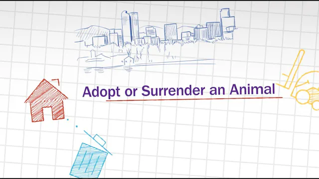 Adopt or Surrender an Animal in Denver