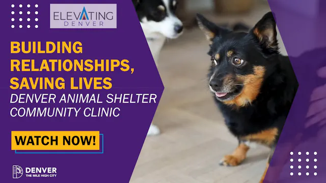 Building Relationships, Saving Lives
