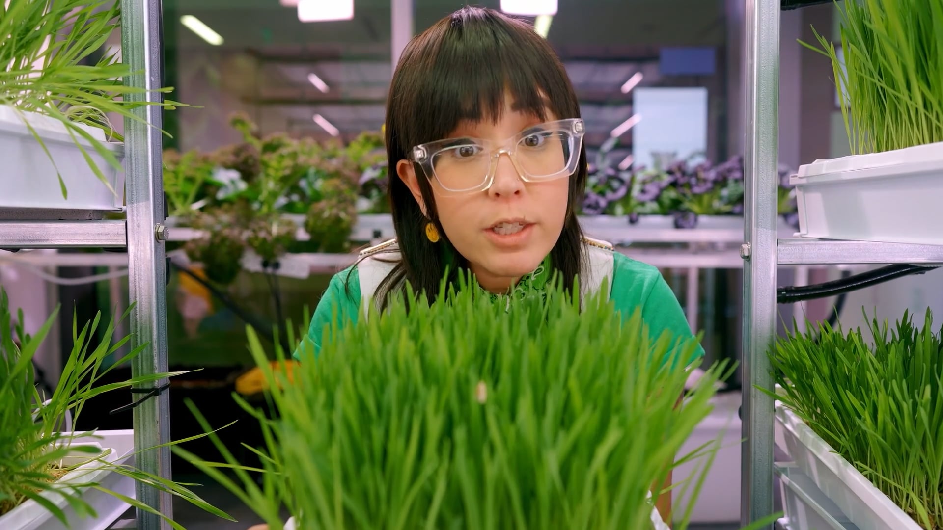5. Plants: How do they survive? Can I be a gardener, too?