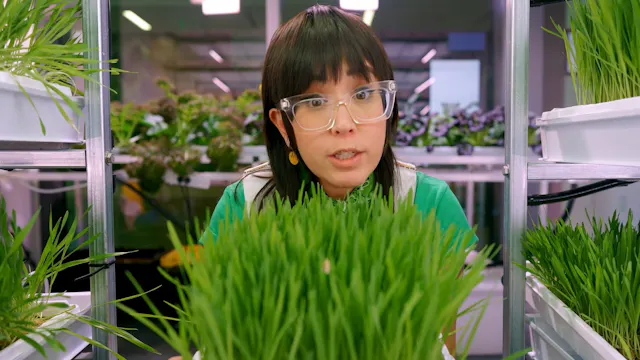 5. Plants: How do they survive? Can I...