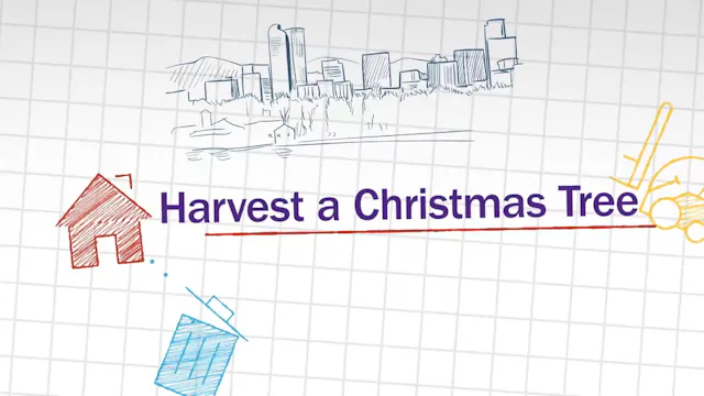 Harvest a Christmas Tree