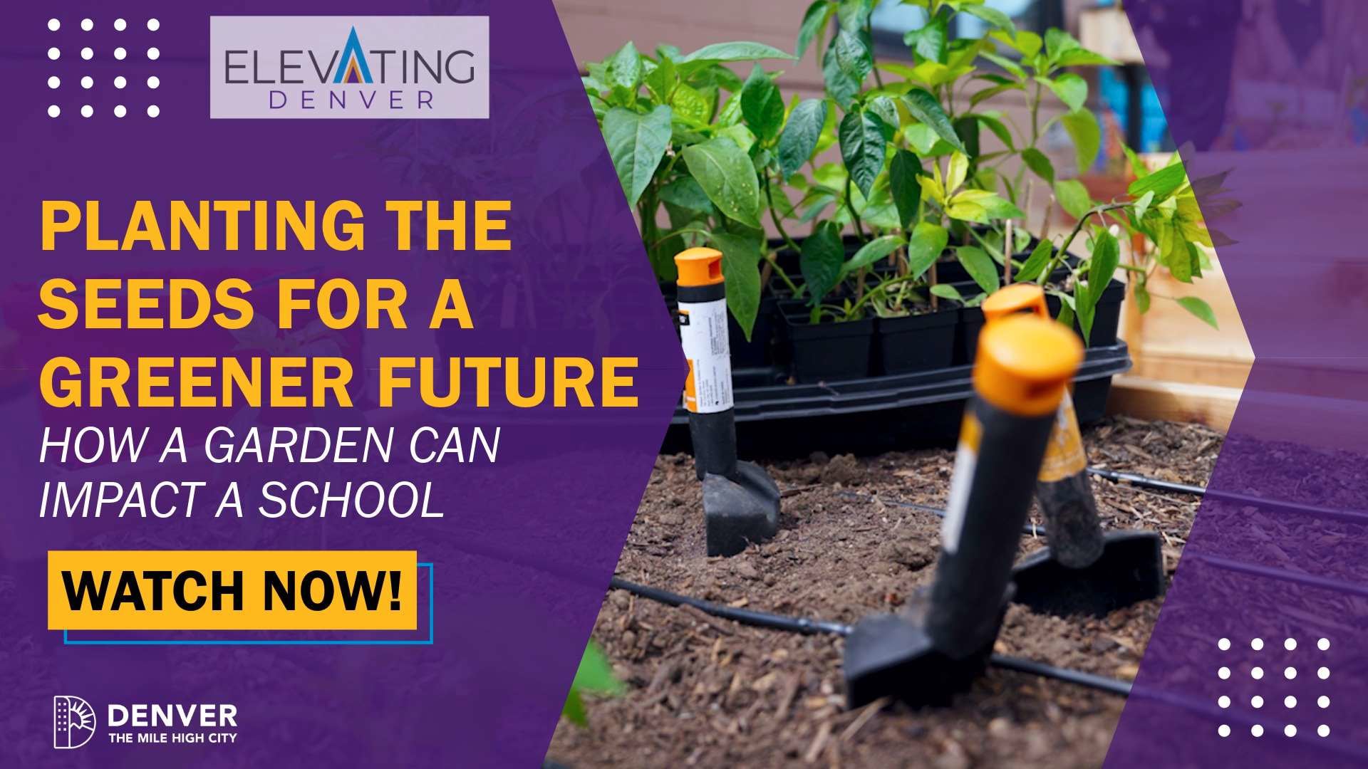 Planting the Seeds for a Greener Future