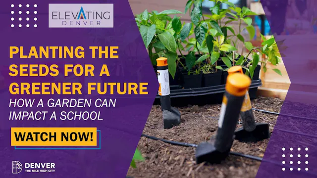 Planting the Seeds for a Greener Future