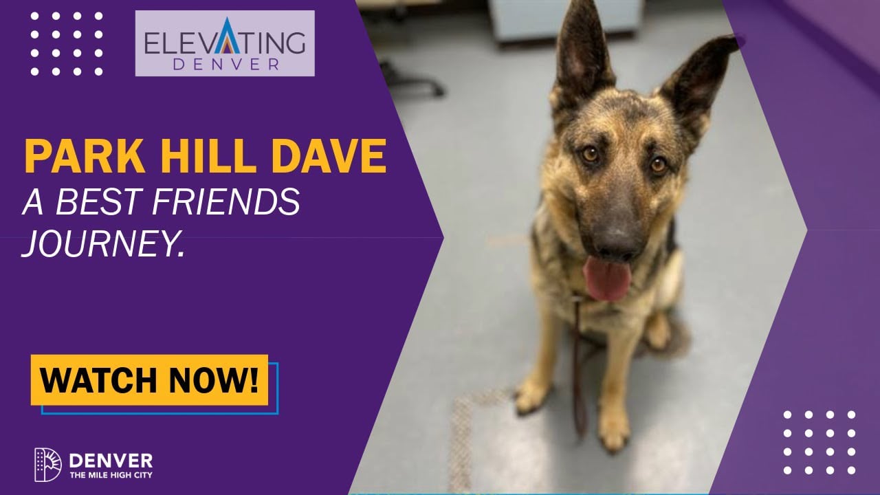 Park Hill Dave