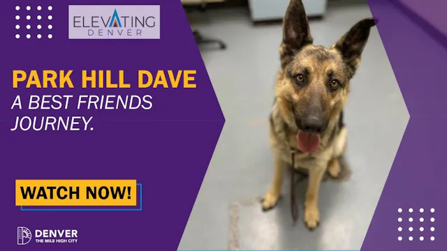 Park Hill Dave