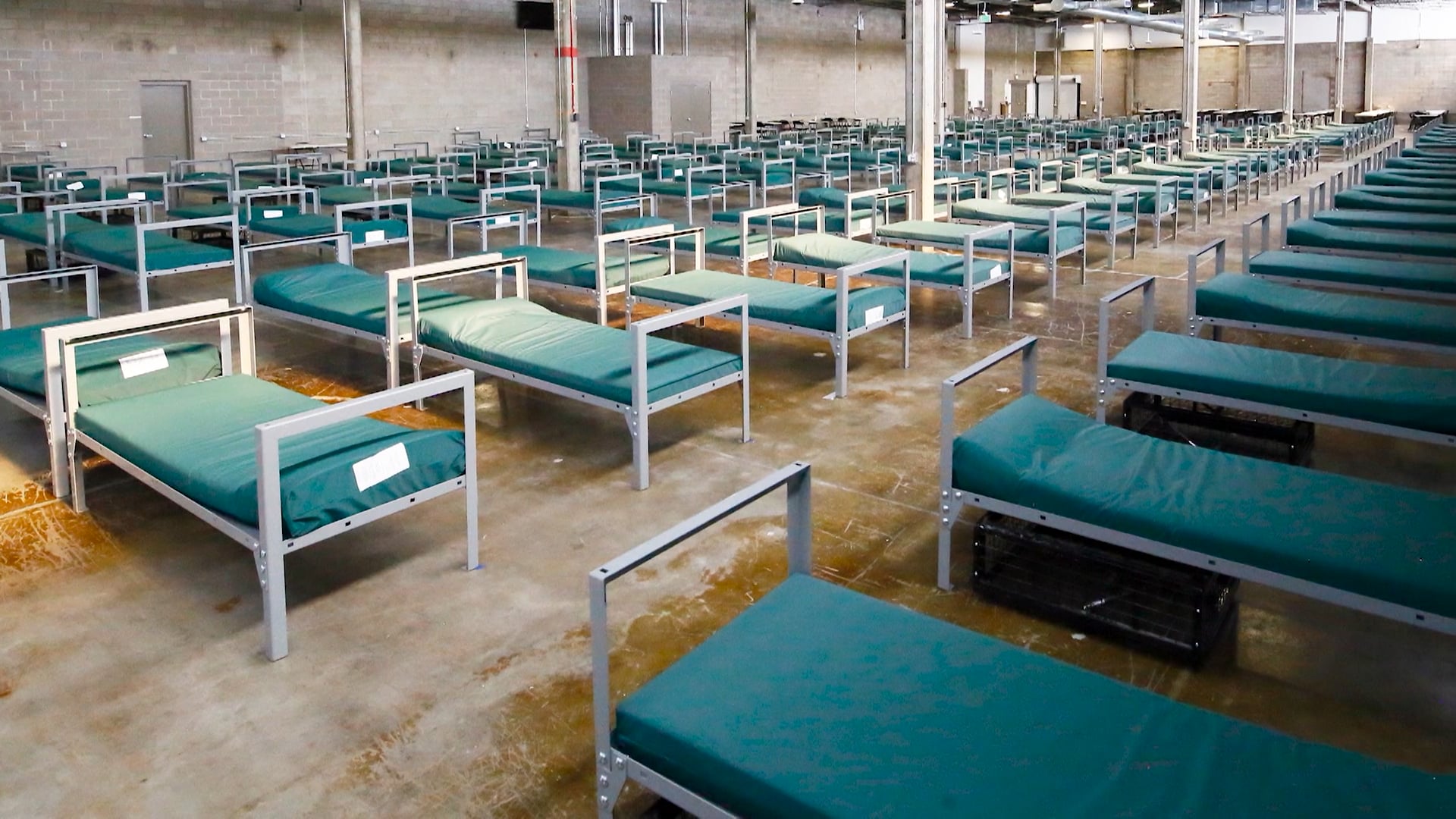 Ask the Auditor: How is the city managing city shelters?