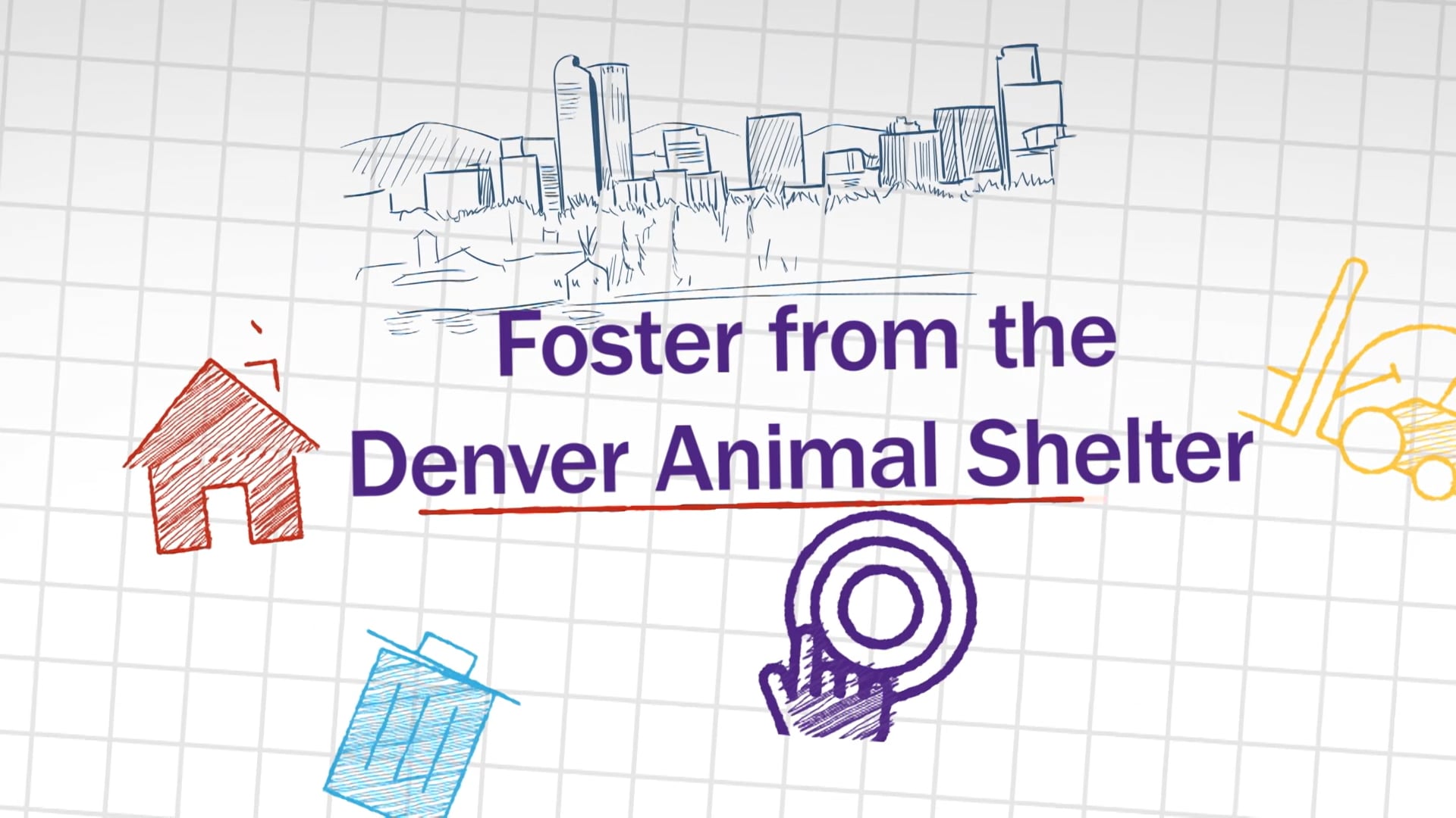 Foster from the Denver Animal Shelter