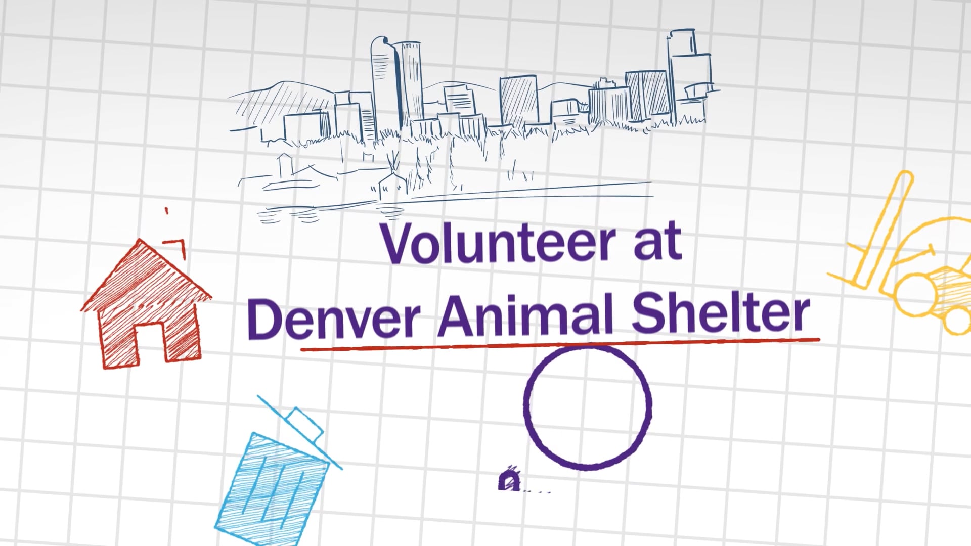 Volunteer at Denver Animal Shelter