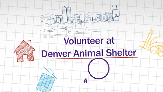 Volunteer at Denver Animal Shelter
