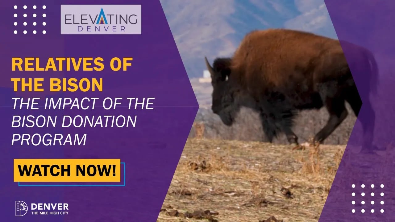 Relatives of the Bison