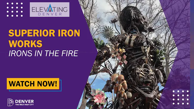 Superior Iron Works: Irons in the Fire