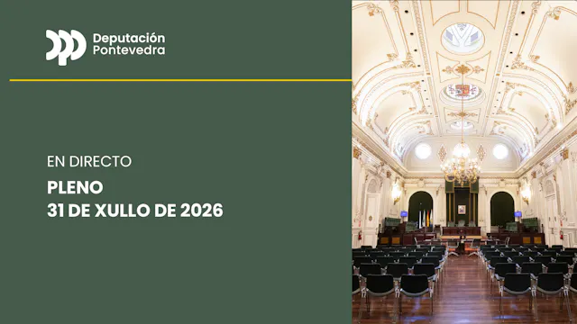 Pleno ordinario do 31 de xullo de 202...