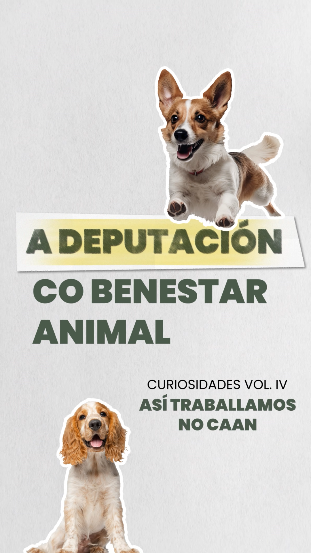 VOL. IV Así traballamos no CAAN