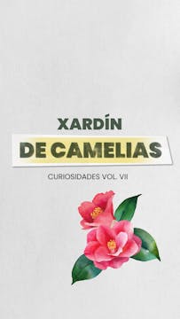 VOL. VII Xardín de camelias