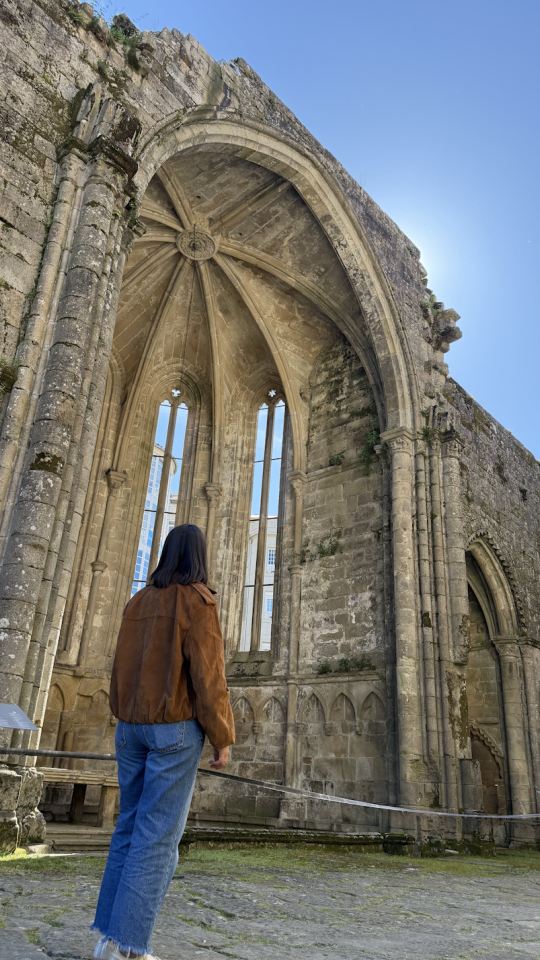 Ruínas de San Domingos