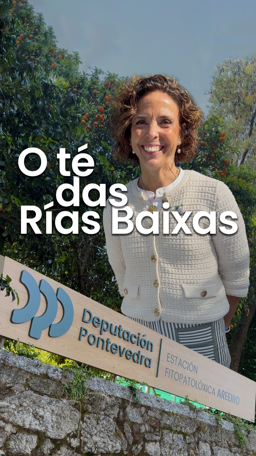 O té das Rías Baixas