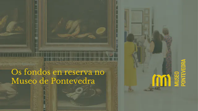 Os fondos en reserva do Museo de Pont...