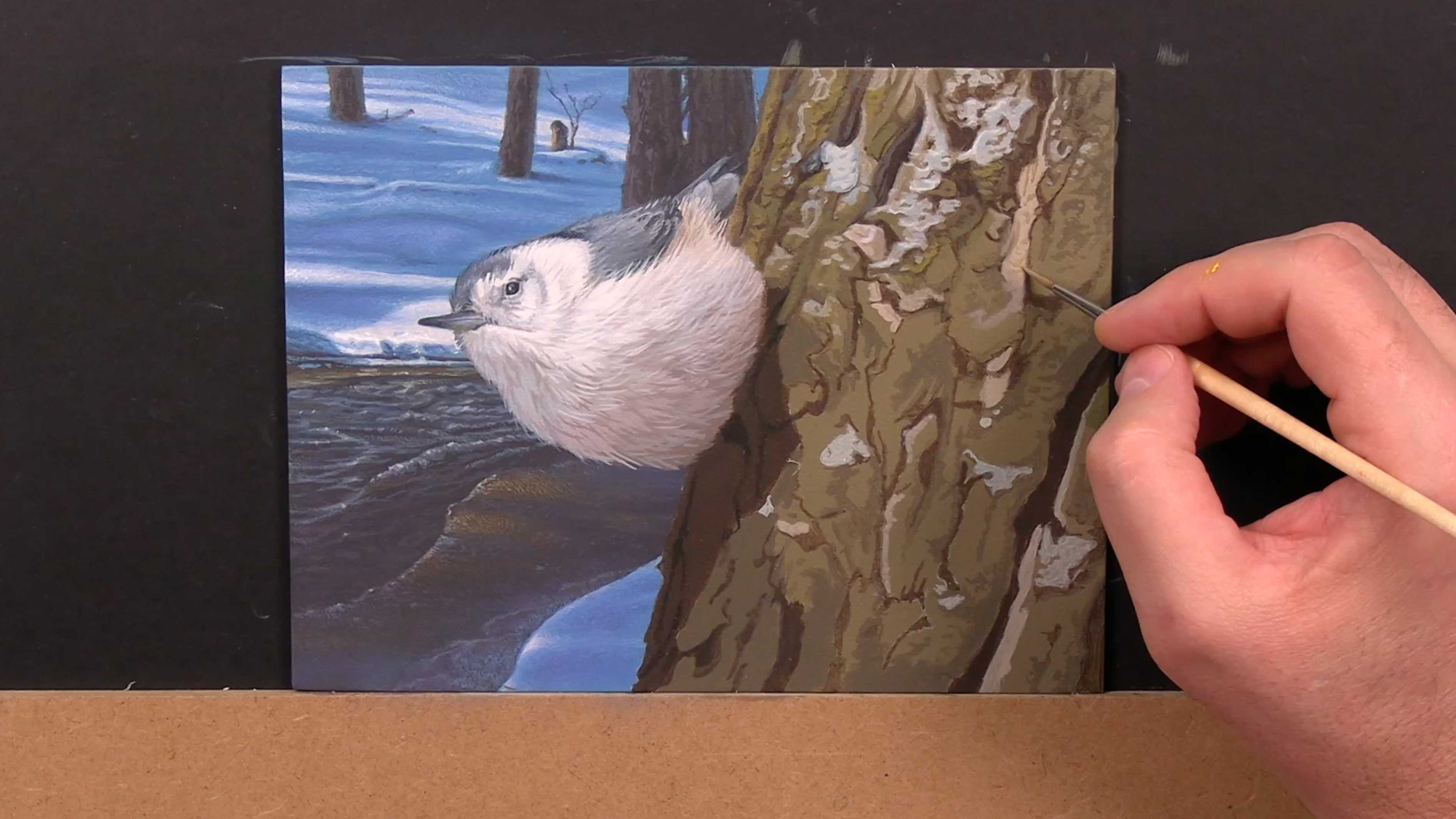 Scout Valley Perspective Pt.4