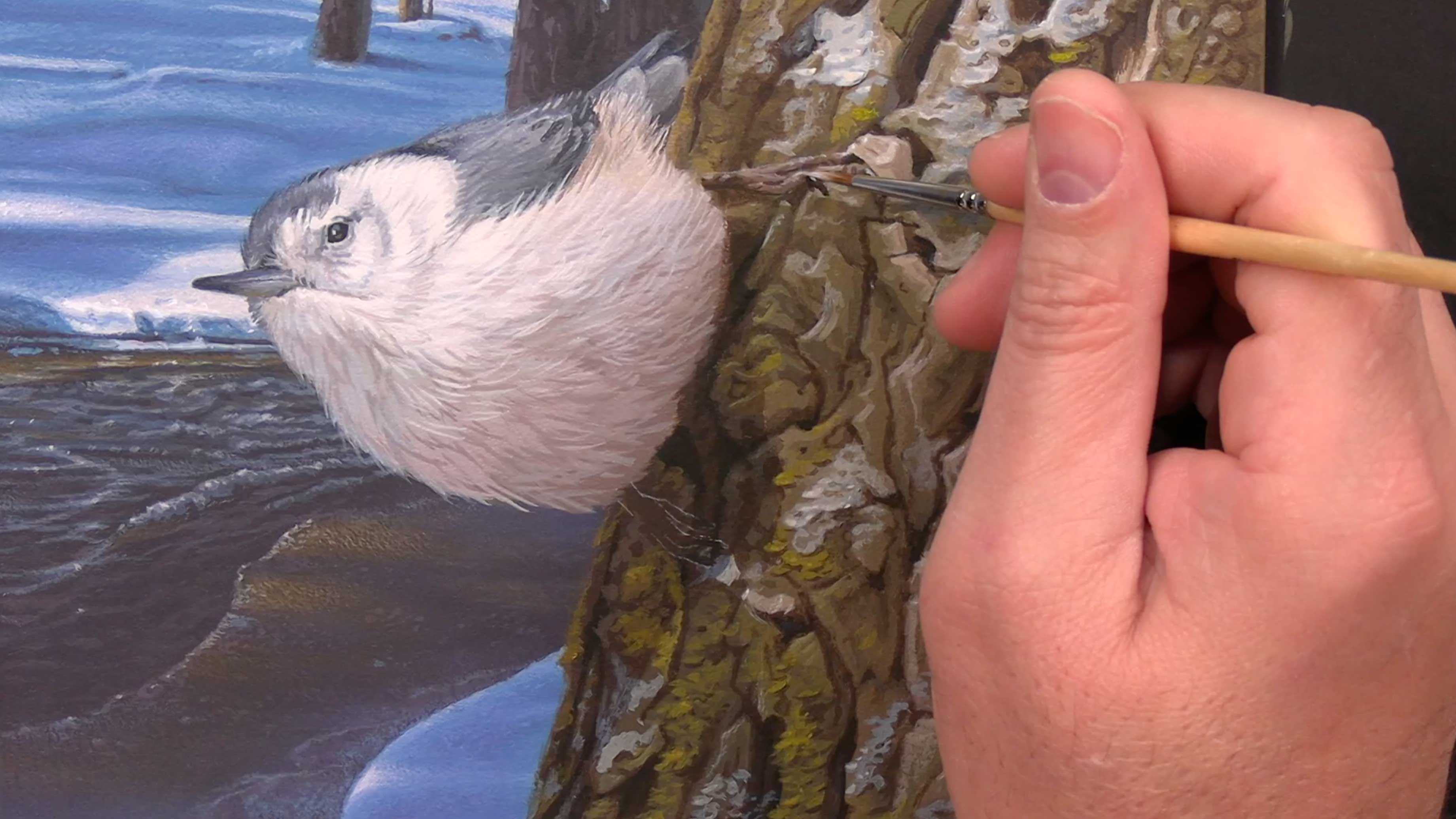 Scout Valley Perspective Pt.5