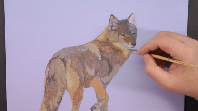 Evening Perambulation Pt.2