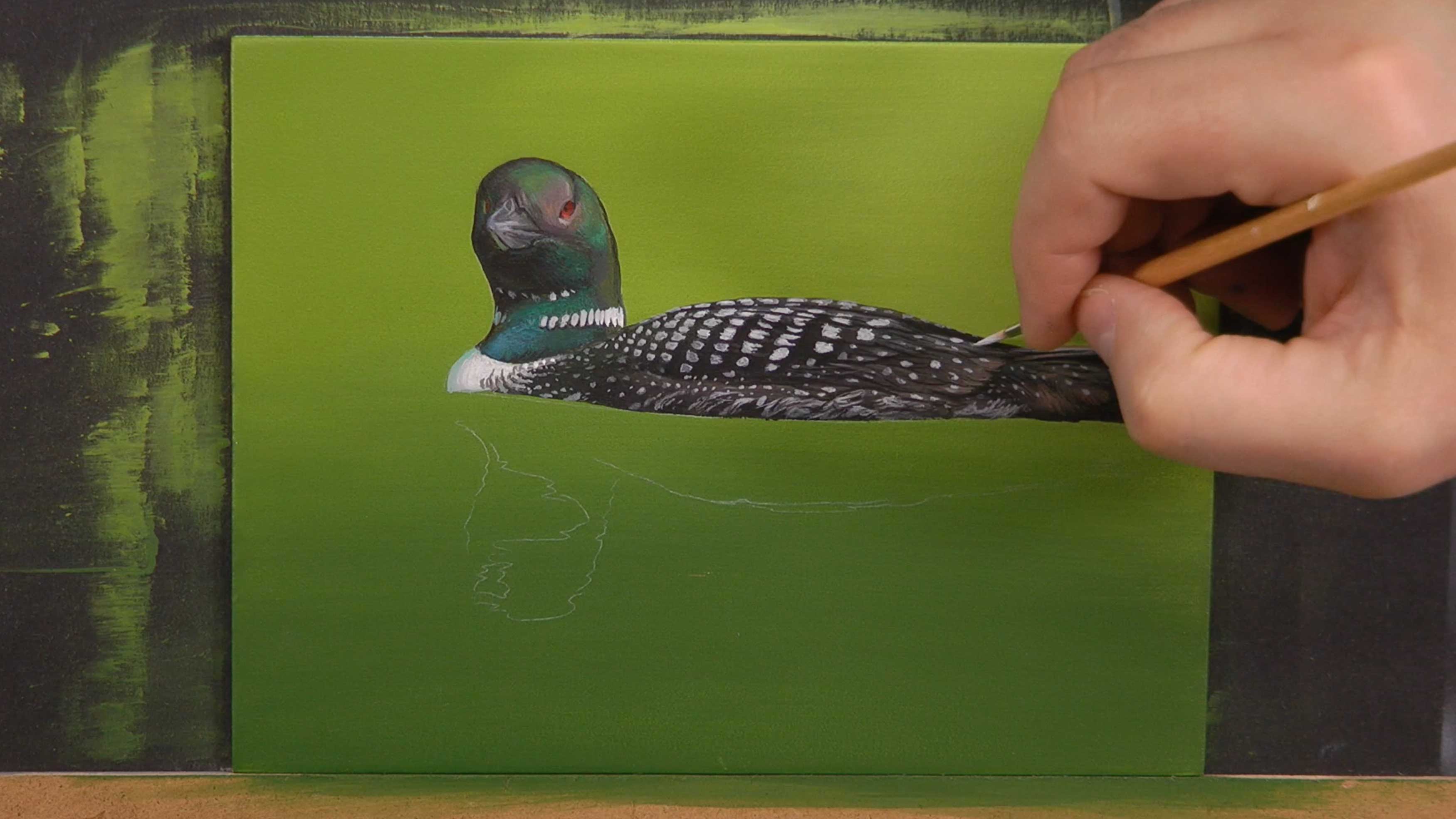 Common Loon Pt.4