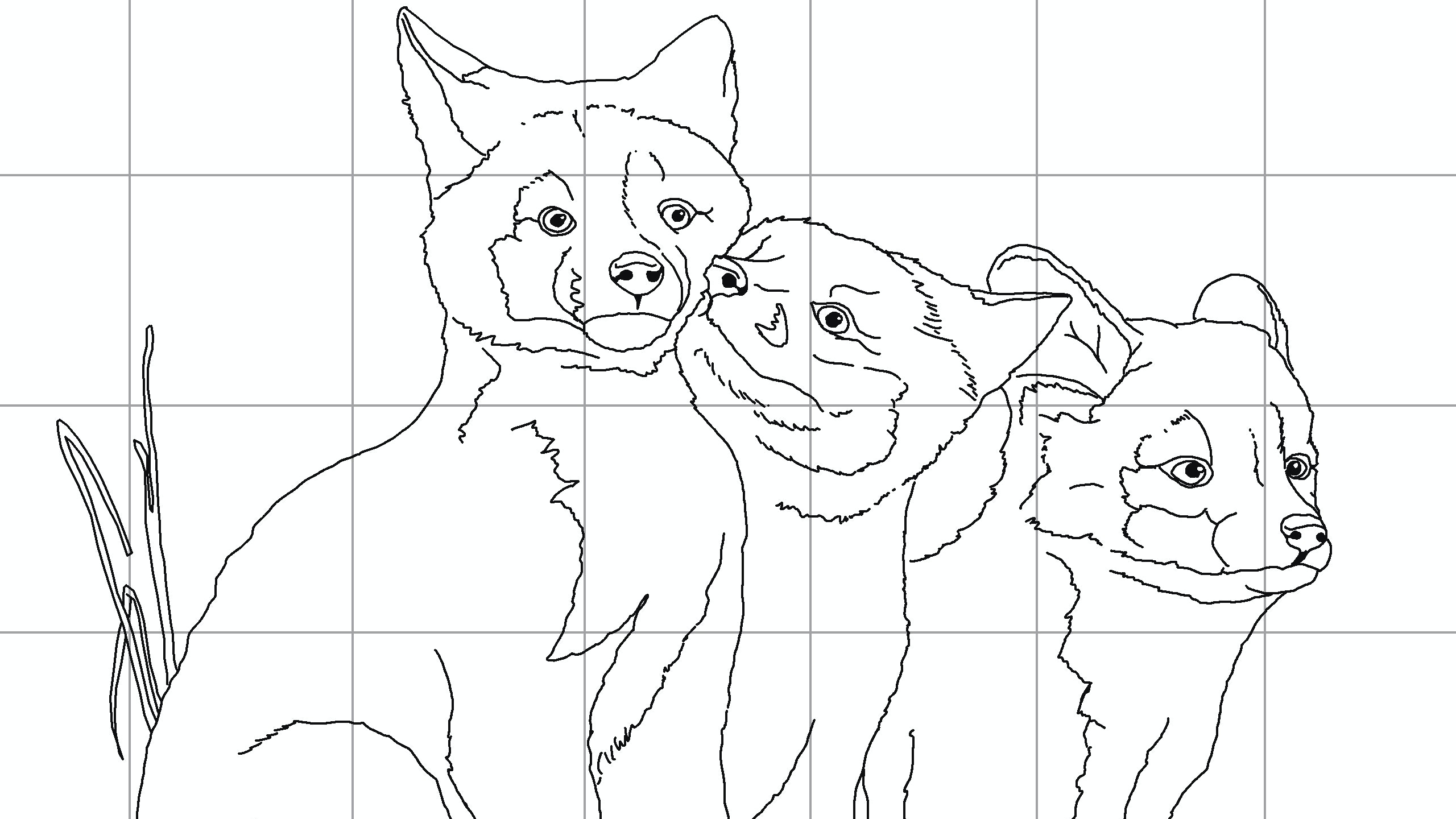 kindred-nuzzle-line-drawing.jpg