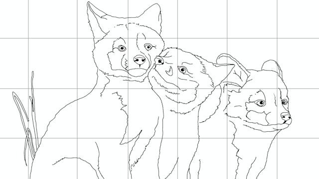 kindred-nuzzle-line-drawing.jpg