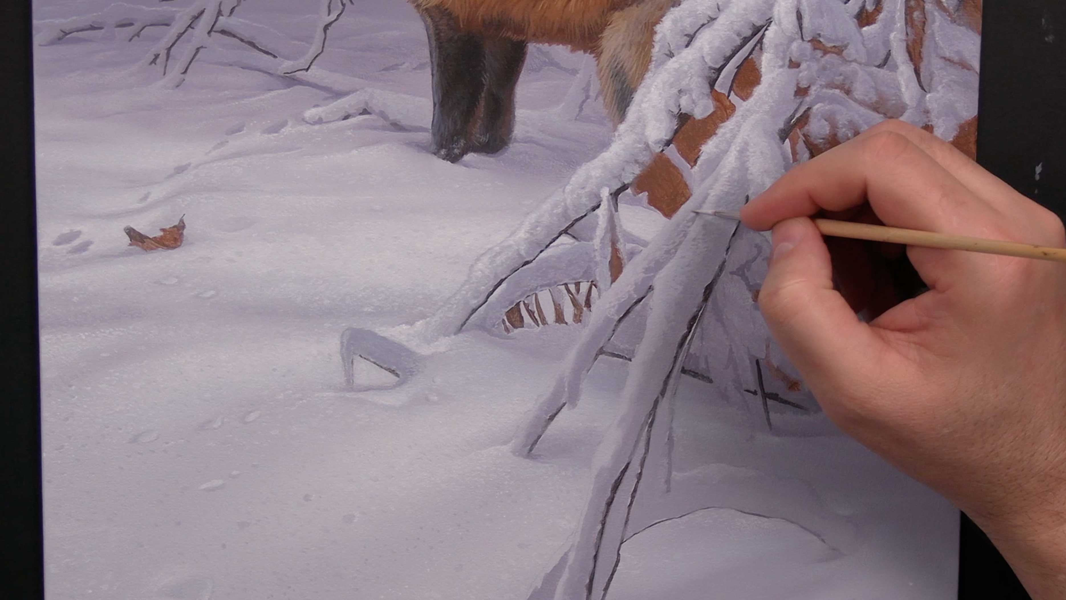 Emerging Colour Pt.13