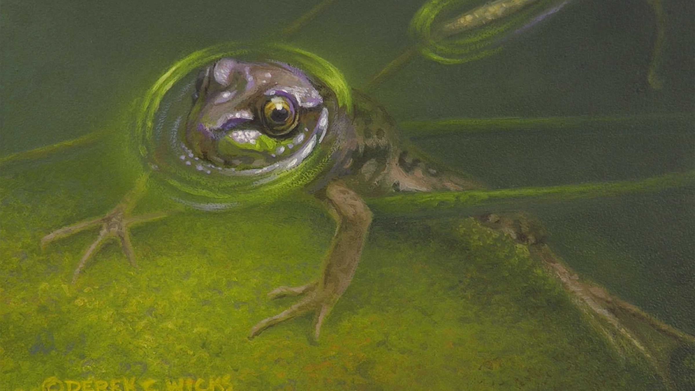 Rock And A Hard Place