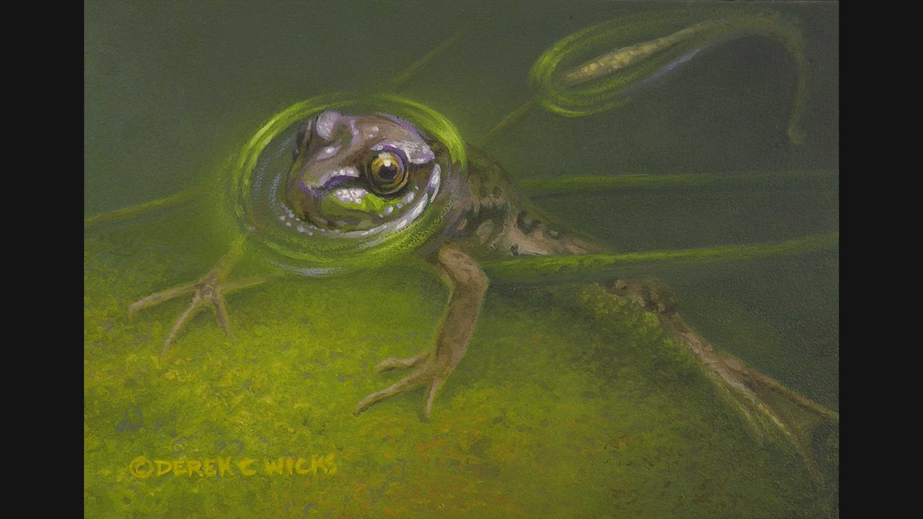 Rock And A Hard Place