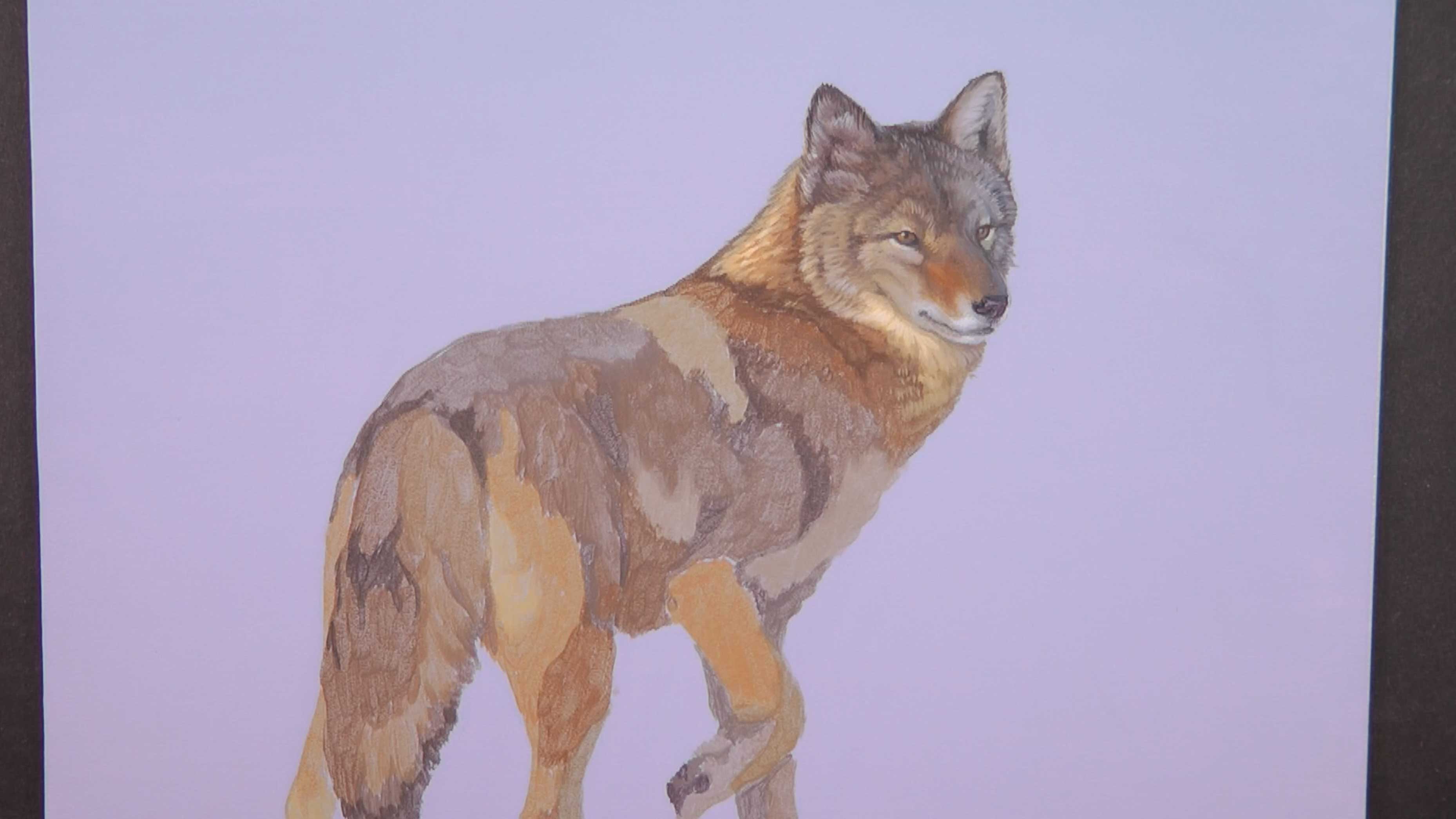 Evening Perambulation Pt.3