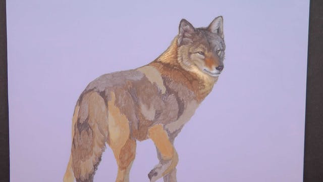 Evening Perambulation Pt.3