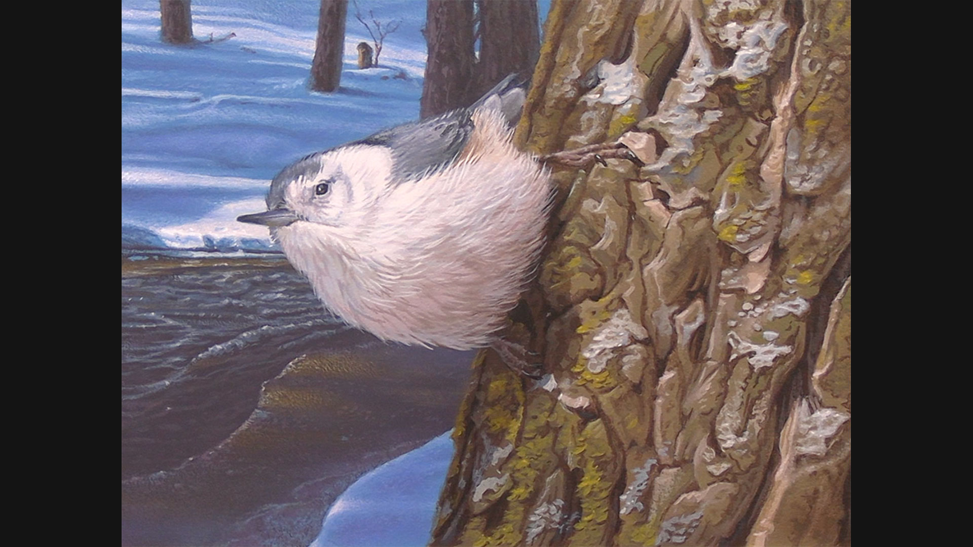 Scout Valley Perspective