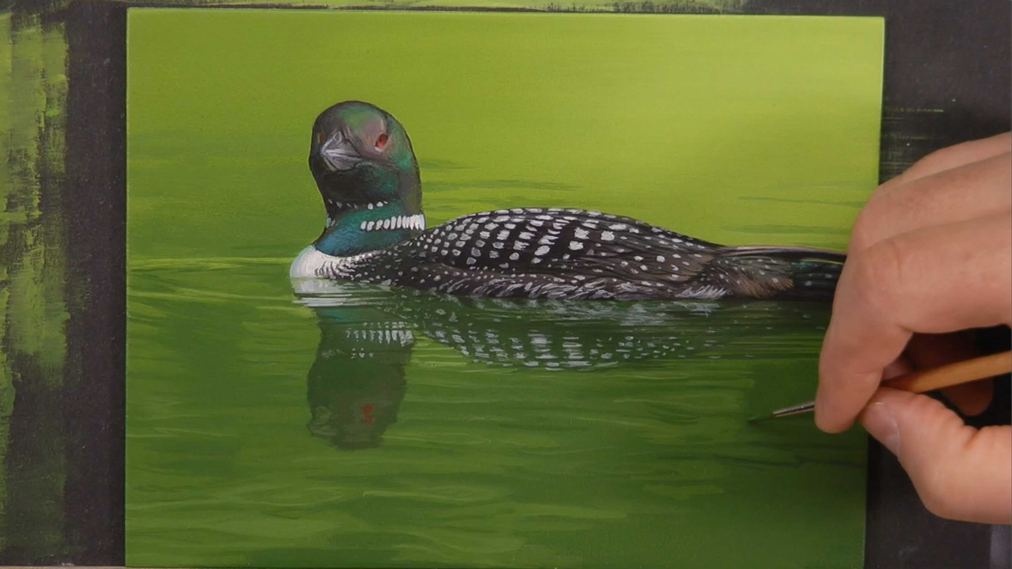 Common Loon Pt.6