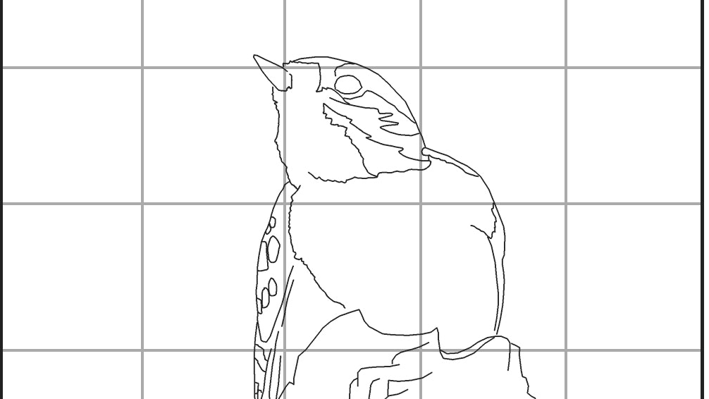 perfect-perch-line-drawing.jpg