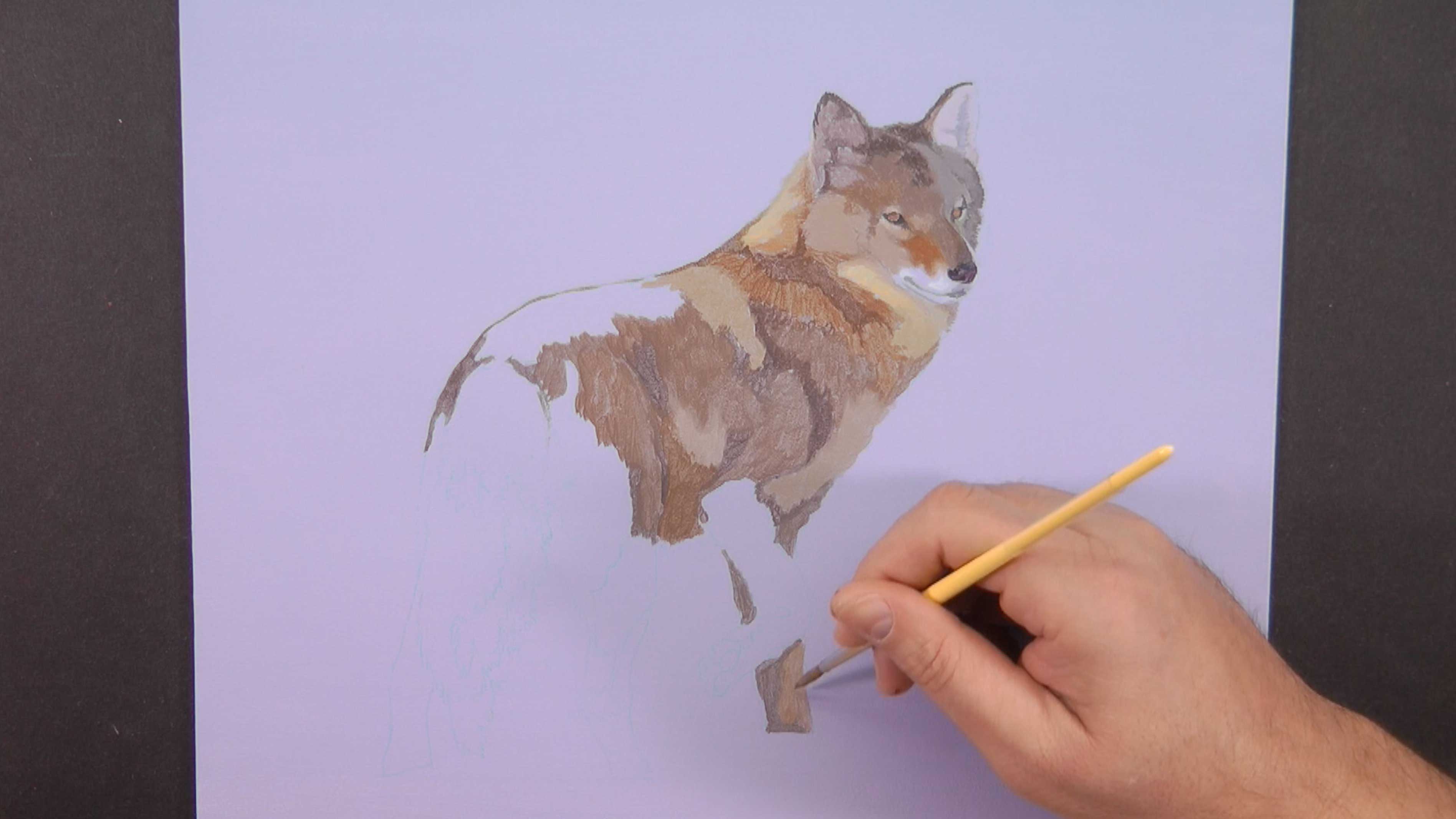 Evening Perambulation Pt.1