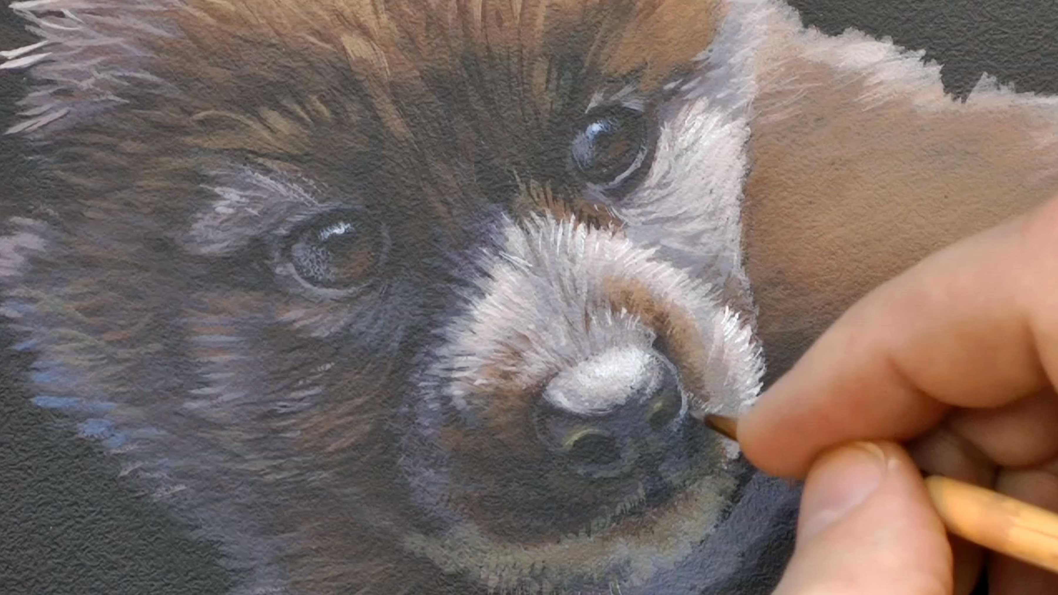 King Of The Hill Pt.2