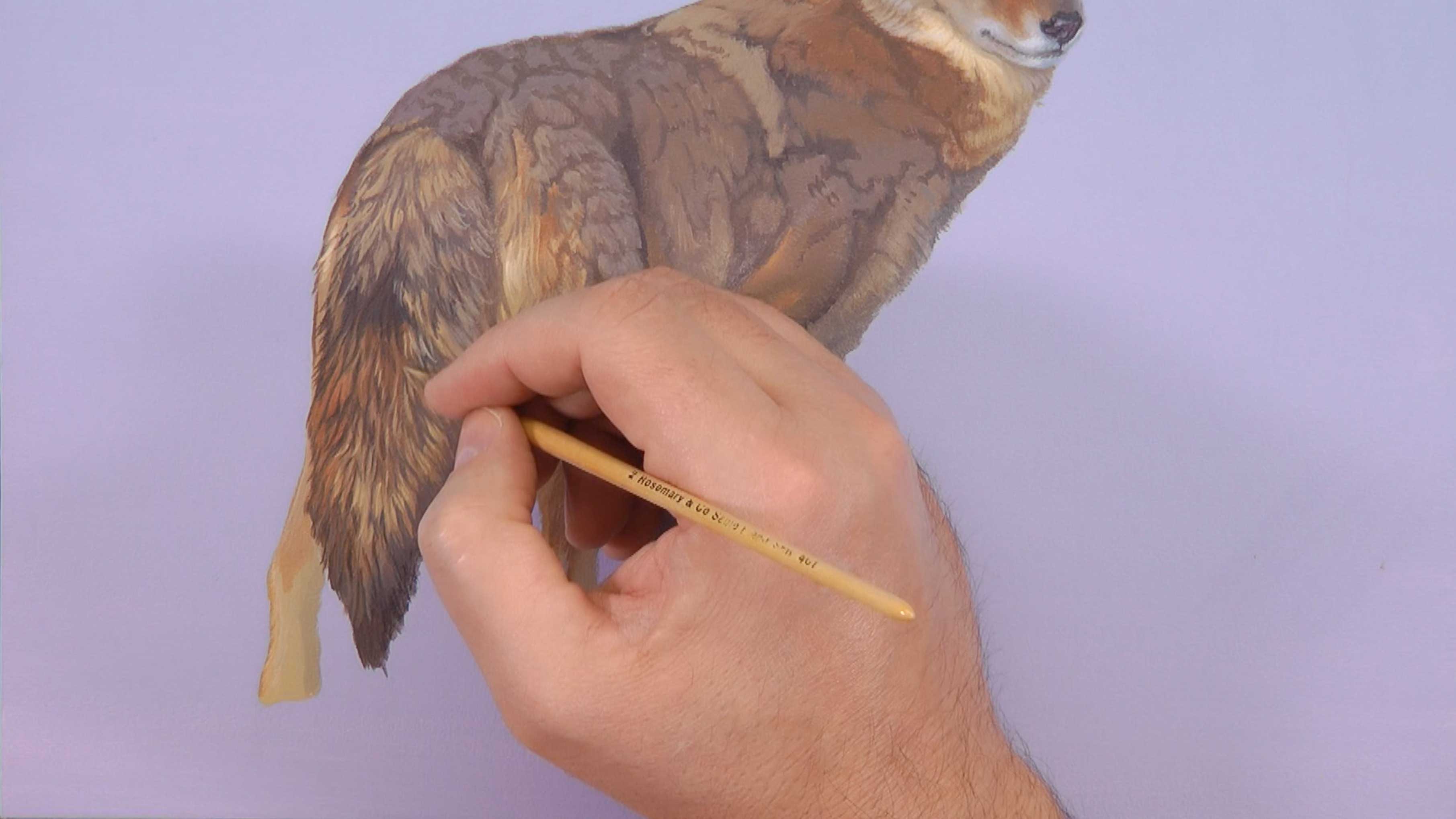 Evening Perambulation Pt.5